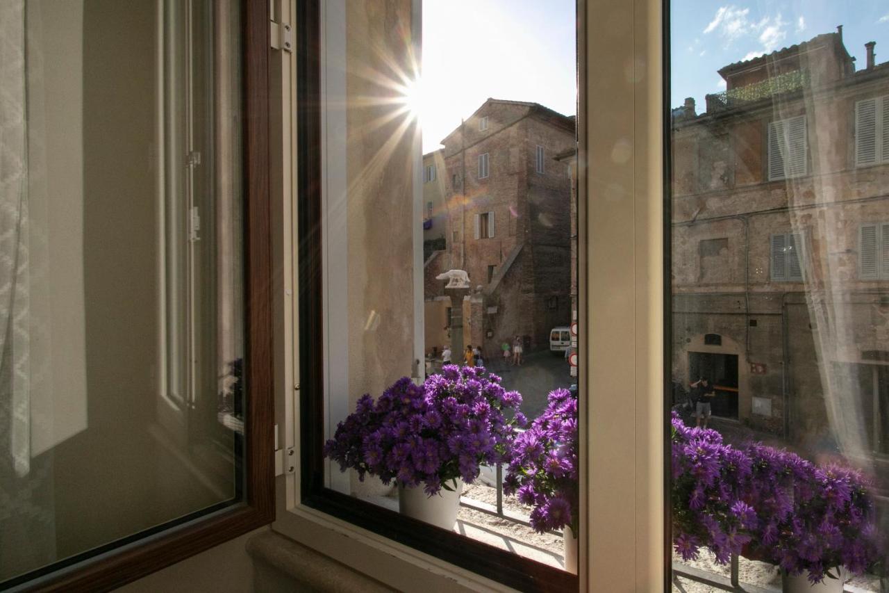 Casa Mavi- Guest house *